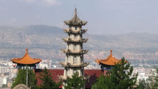委托招商引資合作丨全力助推甘肅臨洮縣特色富民產(chǎn)業(yè)大發(fā)展！