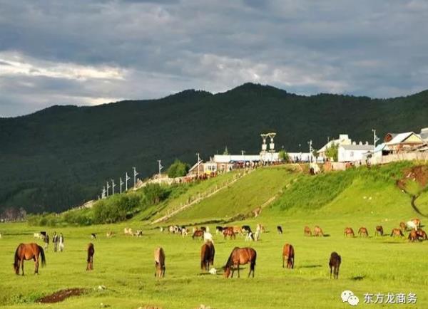 助力內(nèi)蒙古額爾古納市委托招商引資，推動(dòng)產(chǎn)業(yè)轉(zhuǎn)型,著力構(gòu)建存量綠色化、增量高端化的產(chǎn)業(yè)發(fā)展新格局