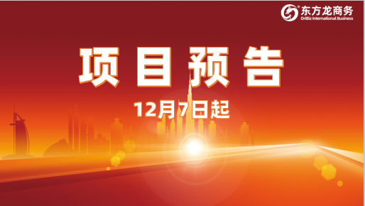 狠抓投資選址項(xiàng)目促實(shí)效！12月7日起，21家優(yōu)質(zhì)企業(yè)精準(zhǔn)對(duì)接全國(guó)政府園區(qū)