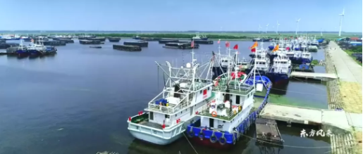 集團(tuán)全力助推南通外向型農(nóng)業(yè)綜合開發(fā)區(qū)委托招商引資，打造現(xiàn)代化專業(yè)食品園區(qū)