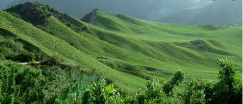 東方龍商務集團助力新疆烏什縣委托招商引資，推進產(chǎn)業(yè)發(fā)展集聚