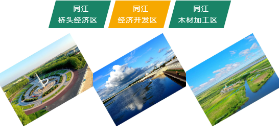 集團全力助推黑龍江省佳木斯市同江市委托招商引資，立足八大優(yōu)勢，構筑發(fā)展新格局