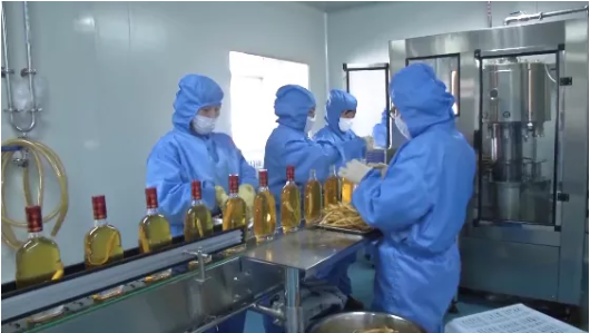 集團(tuán)全力助推吉林省通化市輝南縣委托招商引資，做大做強(qiáng)四大特色產(chǎn)業(yè)集群