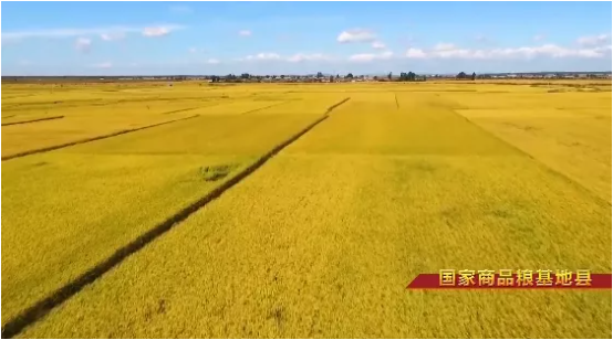 集團(tuán)全力助推吉林省通化市輝南縣委托招商引資，做大做強(qiáng)四大特色產(chǎn)業(yè)集群