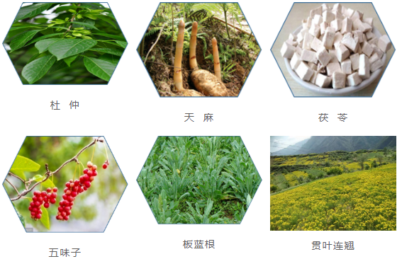 集團(tuán)全力助推甘肅隴南康縣委托招商引資，以綠色發(fā)展推動(dòng)鄉(xiāng)村振興
