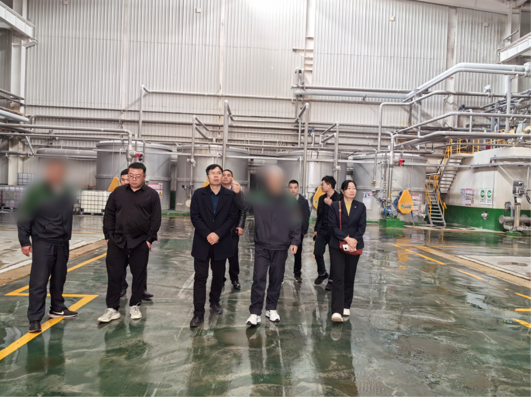 省著名商標(biāo)企業(yè)，地方造紙龍頭企業(yè)！廣西某地方政府實地對接品牌紙制品擴(kuò)建投資選址項目